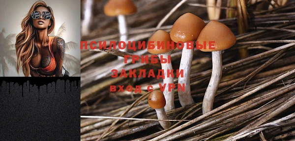 гашик Снежногорск